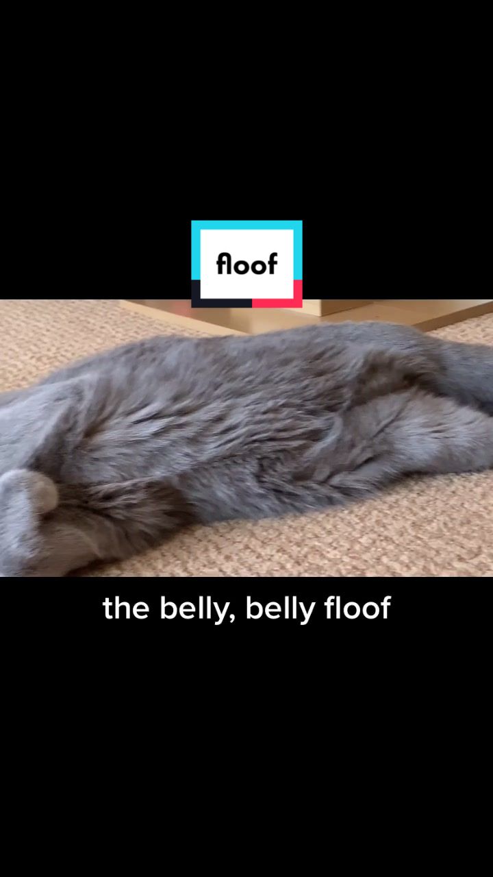 @rebeccawahls