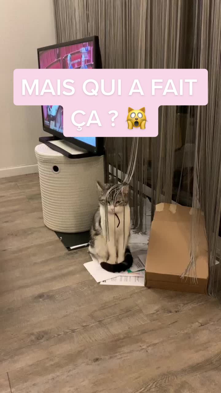 @merylinthestreet