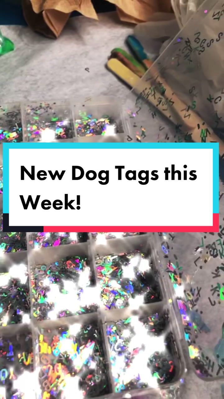 @JJ✨🐶💎🏷