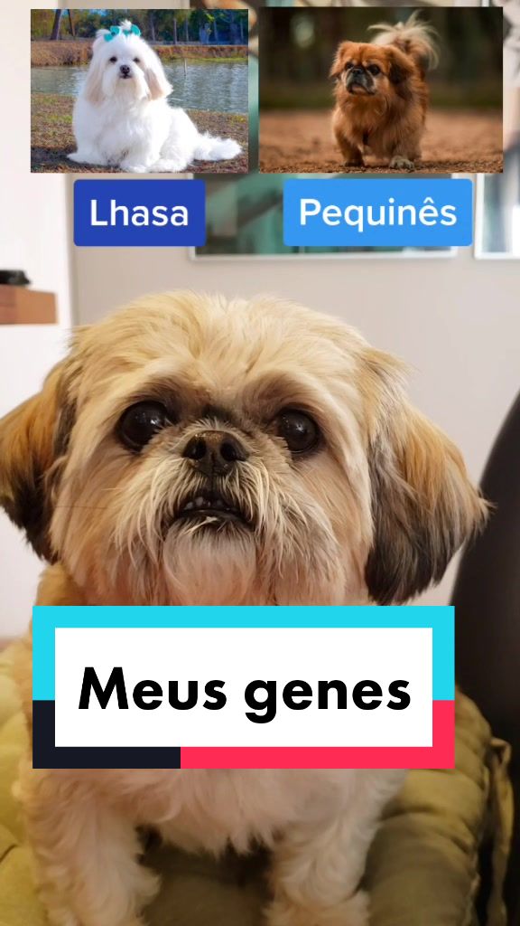 @Mel Spacemoon 🐶🐾