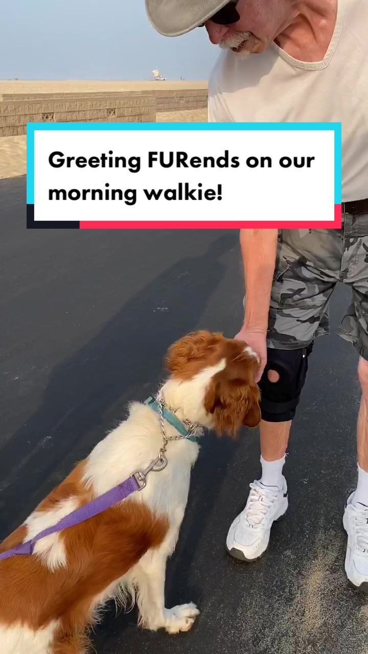 @dogwalkerannika