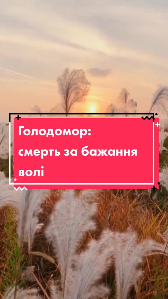 @Ліга Спротиву