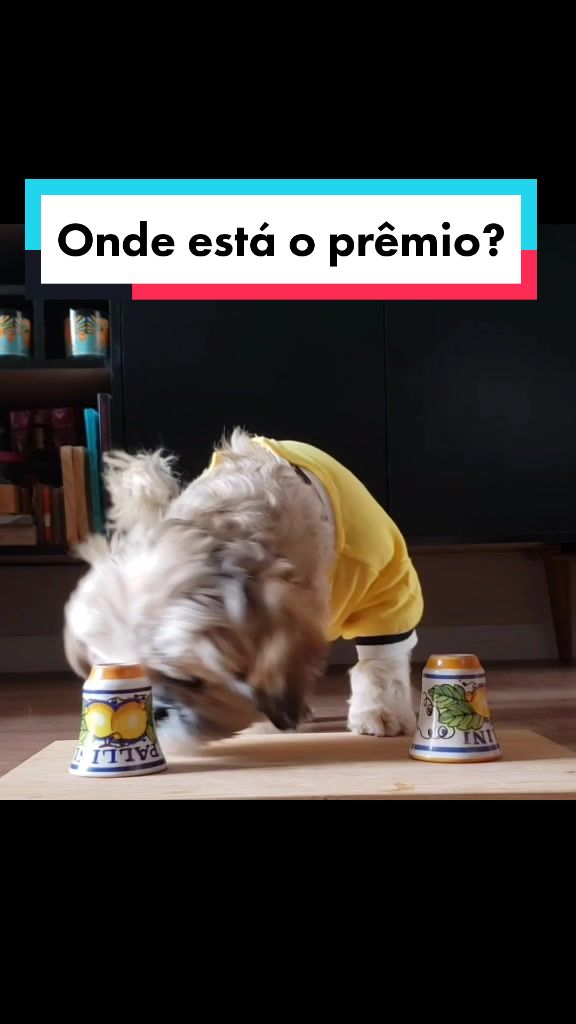 @Mel Spacemoon 🐶🐾