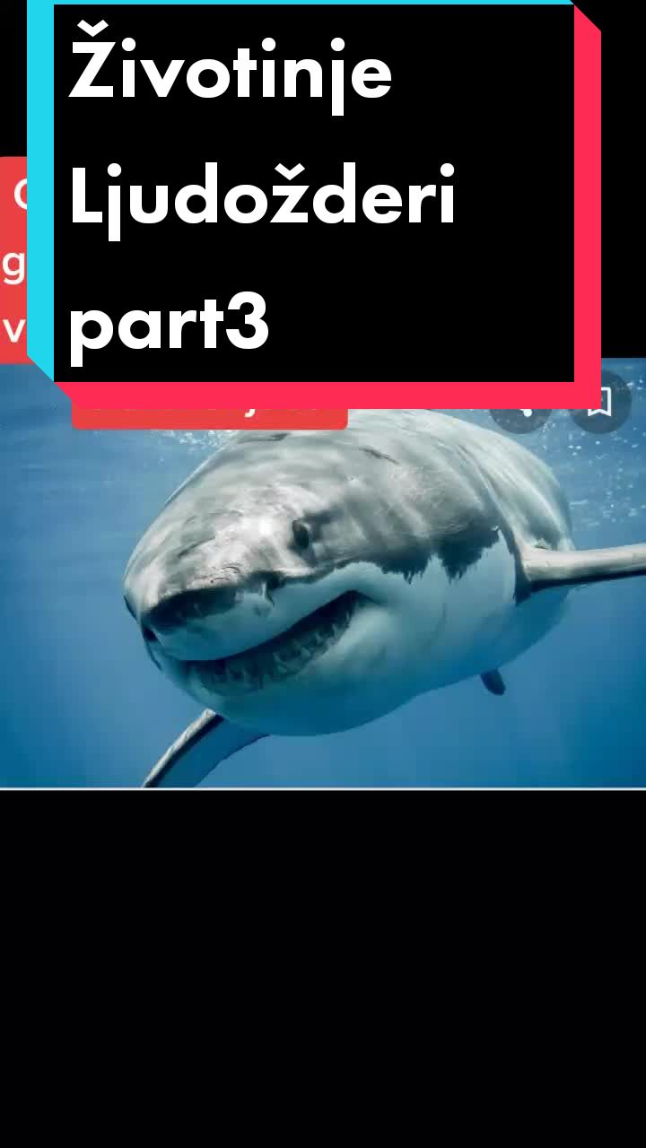@_