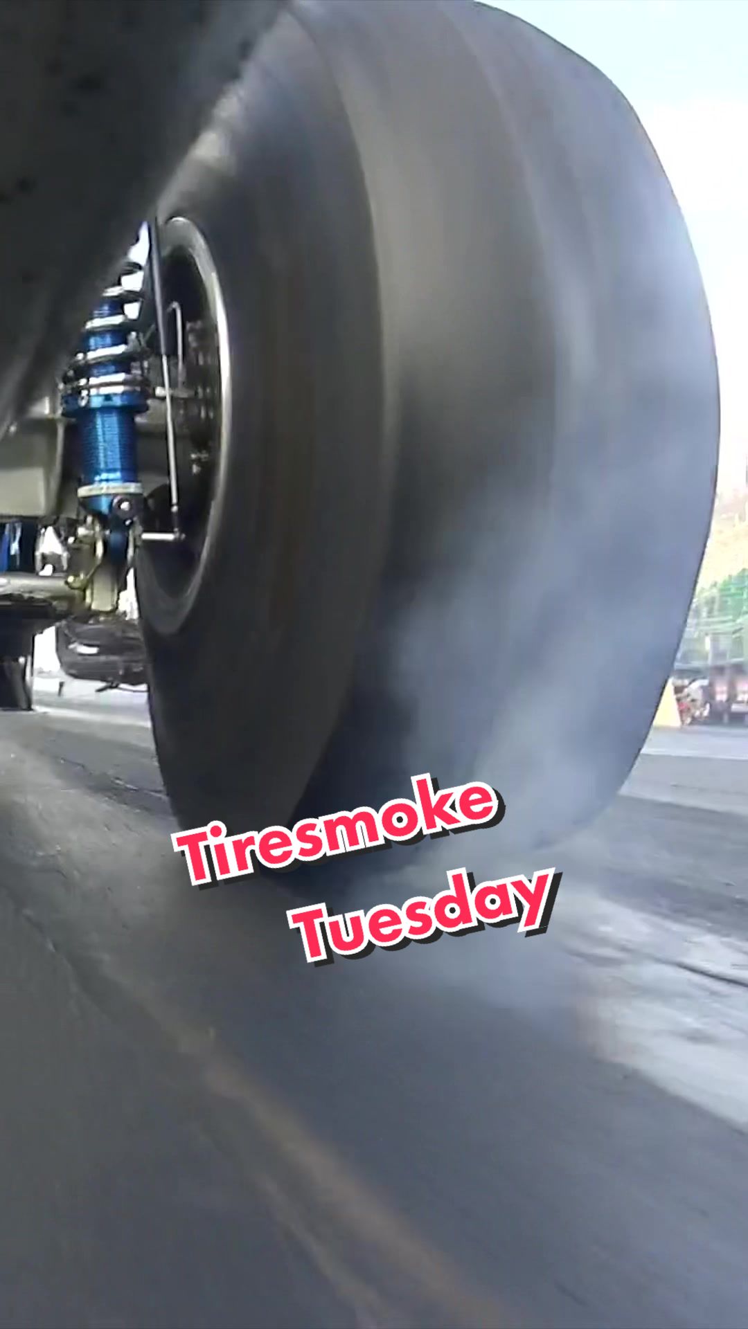 @Martino Motorsports