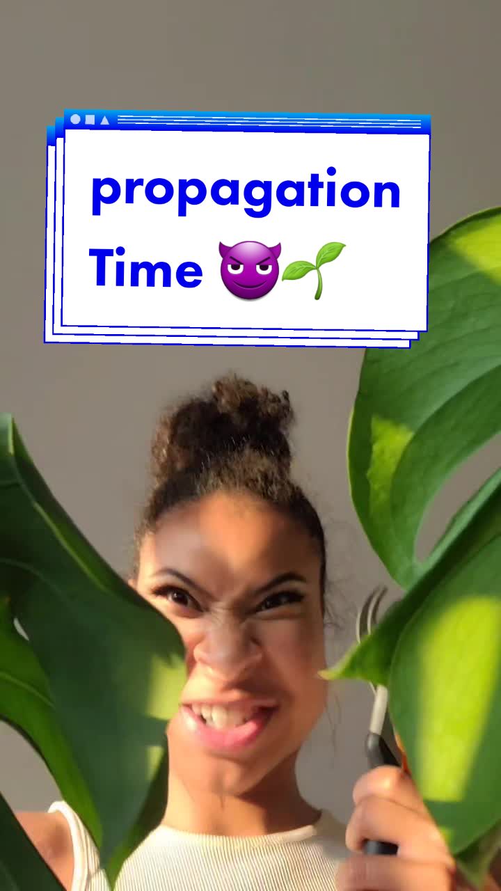 @joy