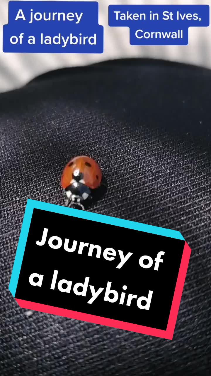 @roguelavellanproductions