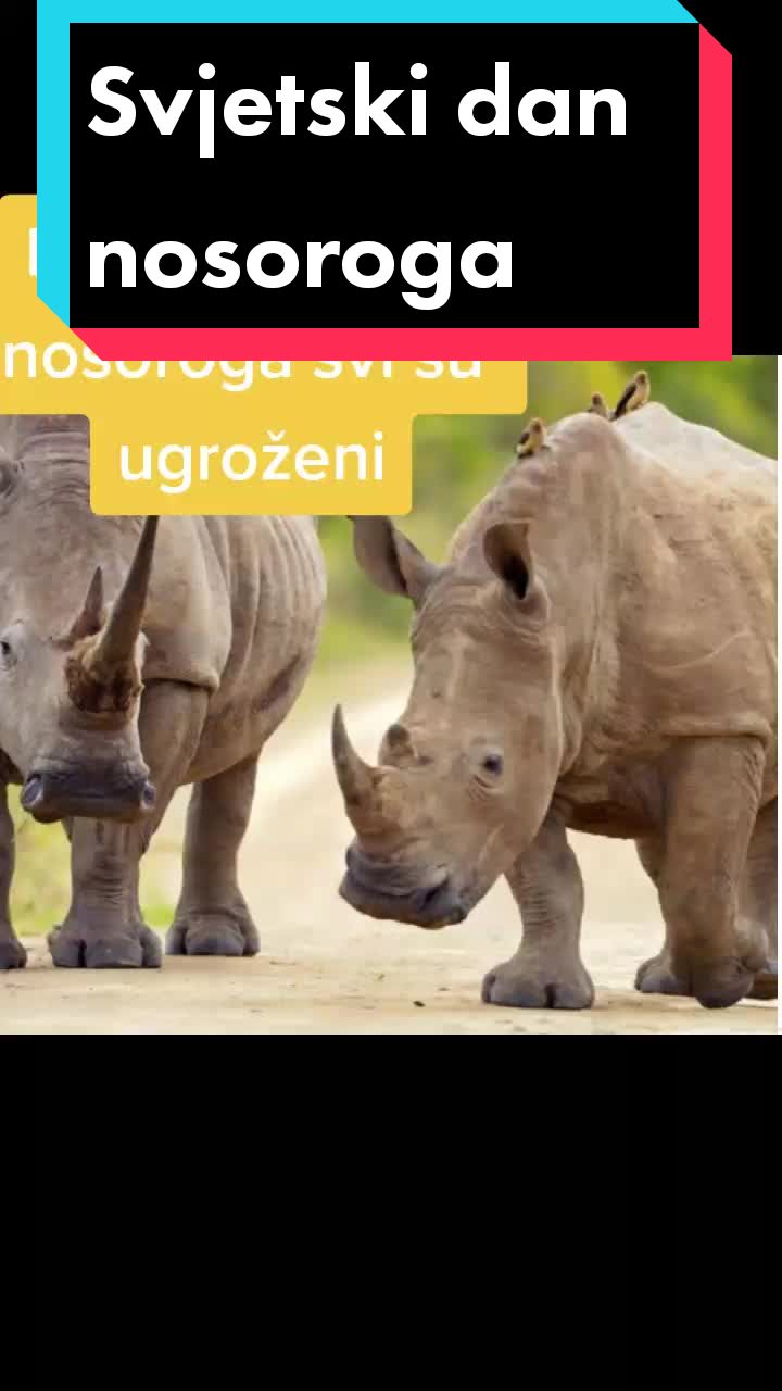 @_