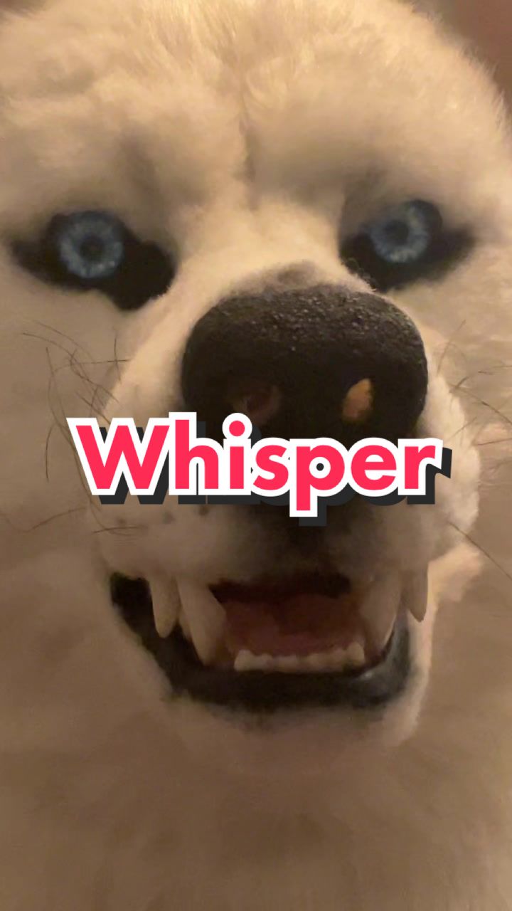 @𝕱𝖗𝖔𝖘𝖙𝖋𝖆𝖓𝖌