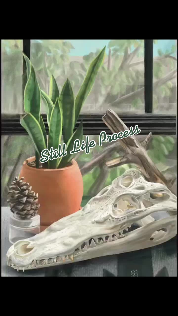 @Susie🌻