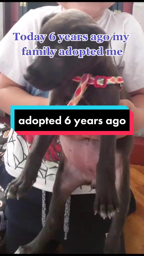 @Nala_and_Raya