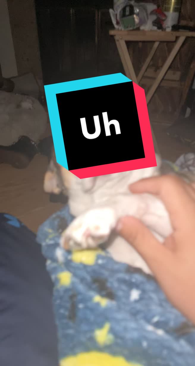 @Gabriel Gomez