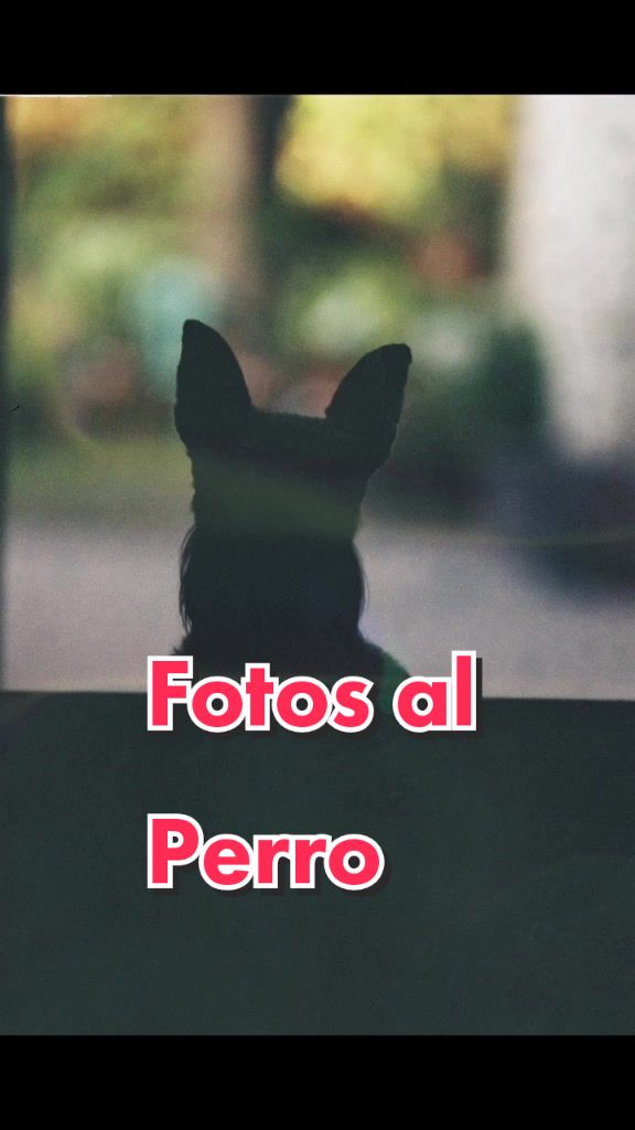 @los_cineastas