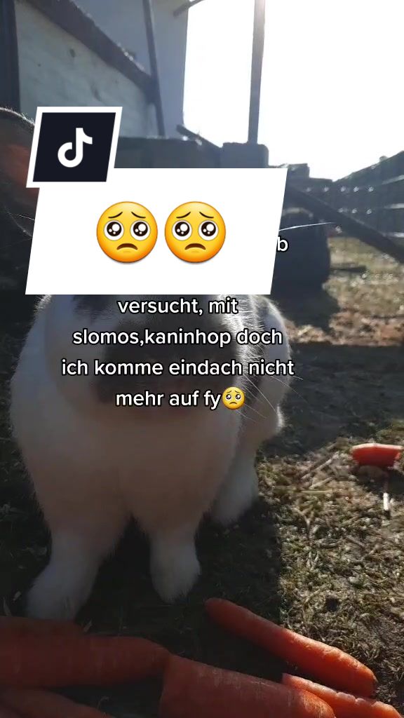 @Bitte KEIN likespam!!!💖