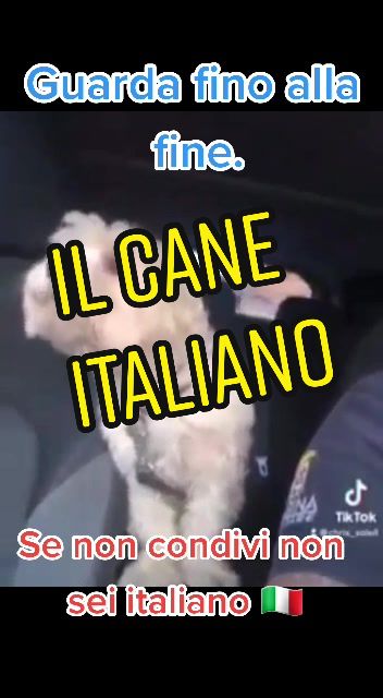 @🚻LaCoppiaFoggiana®️
