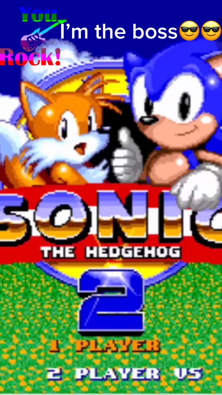 @Sonic the hedgehog