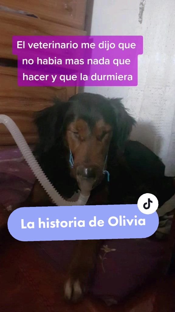 @AntooWitteveen