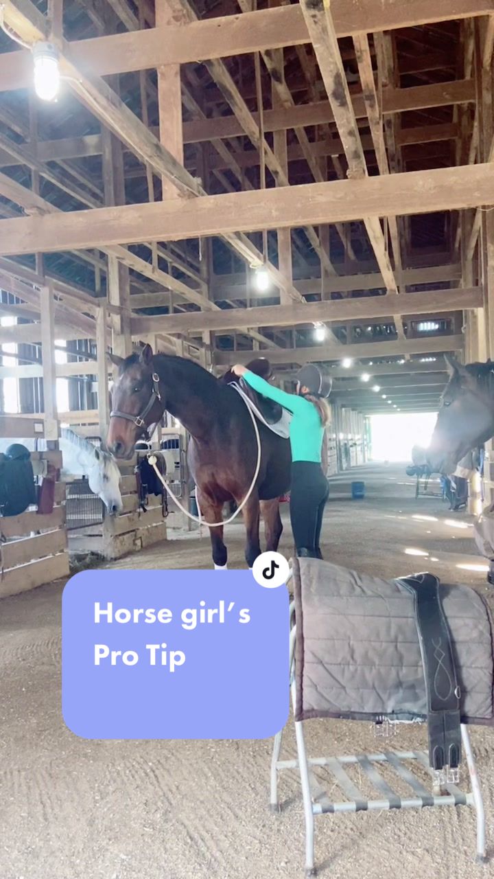 @TheChoiceEquestrian