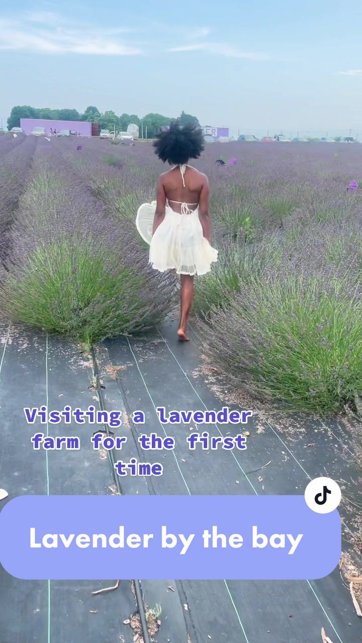 @Dinalabell_