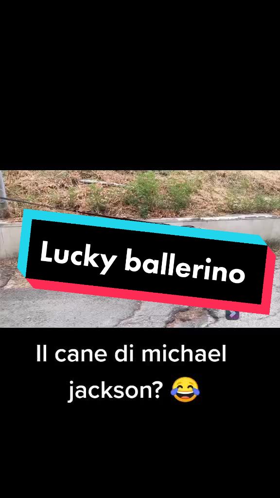 @il mio amico Lucky
