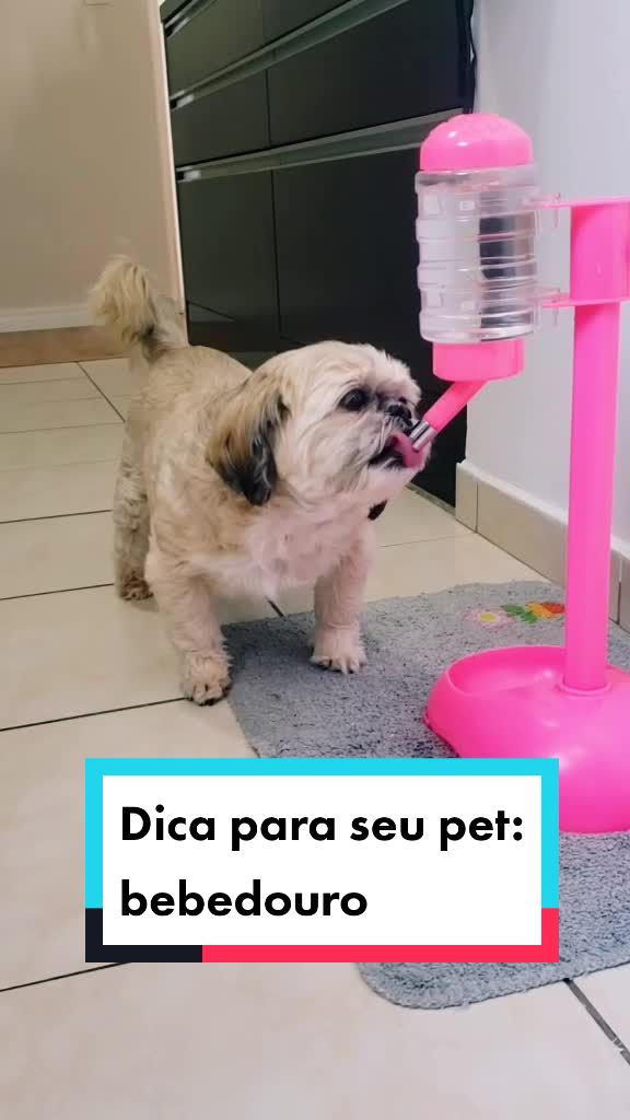 @Mel Spacemoon 🐶🐾