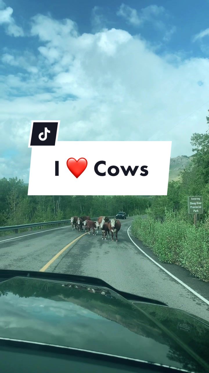 @Dani Rose