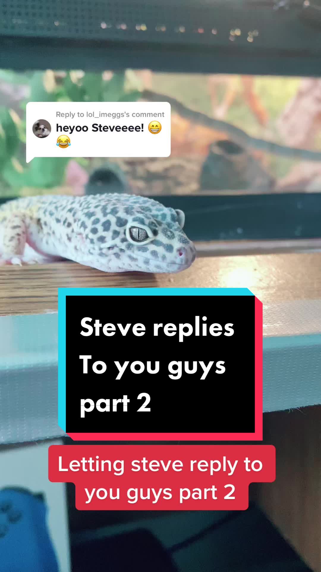 @Steve