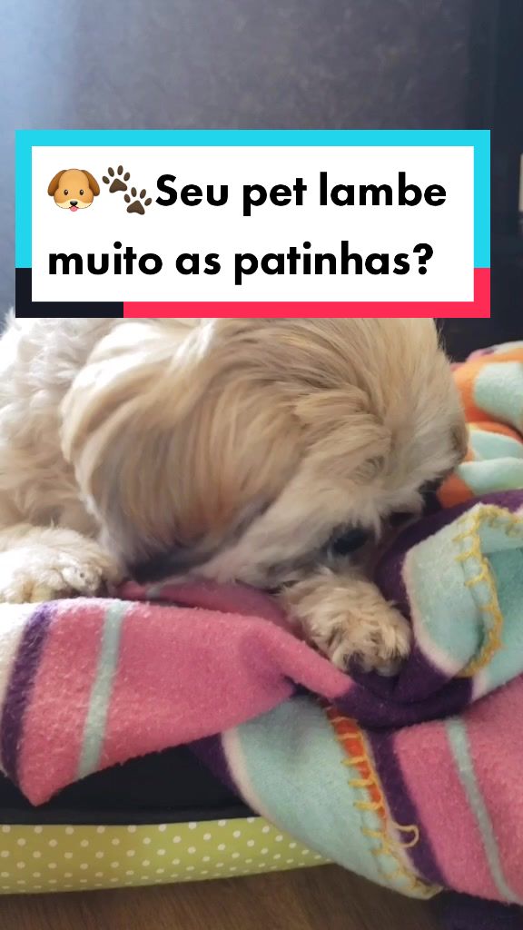 @Mel Spacemoon 🐶🐾