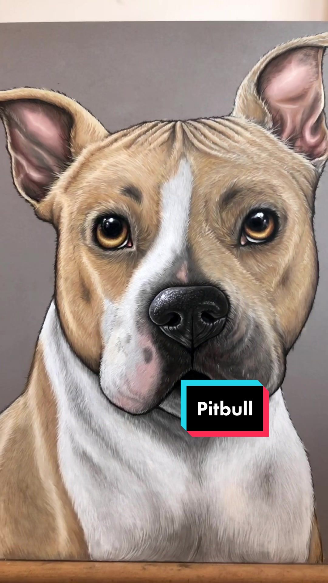 @Kath Carson Art