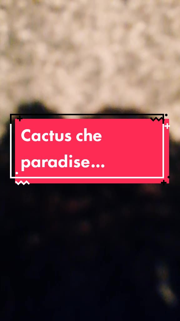 @Barbara Recupero
