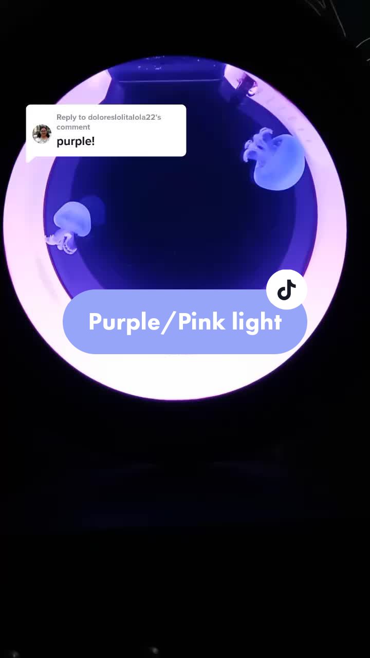 @Sting the jellyfish