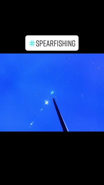 @kairosspearfishing