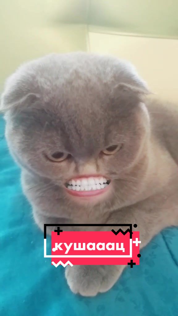@user13819744735