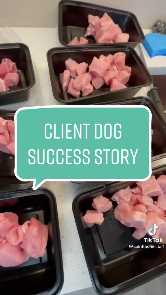 @Pet Nutrition