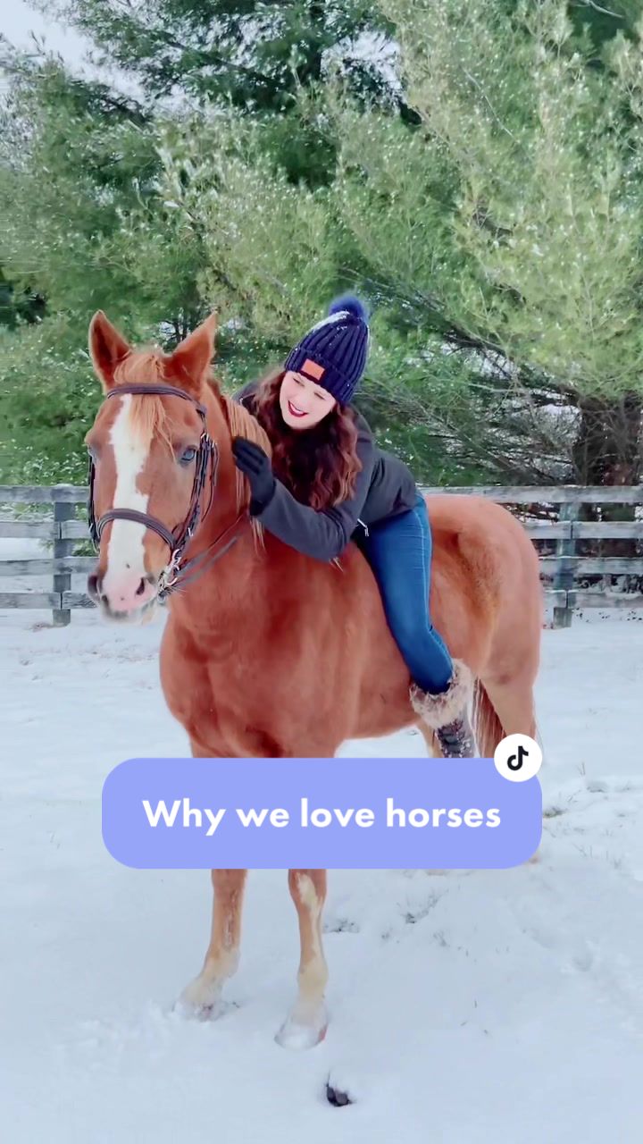@TheChoiceEquestrian