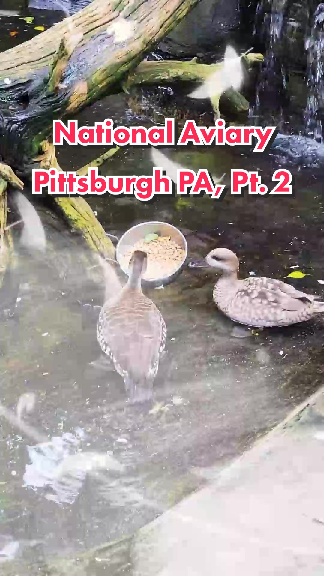 @Trudgen12