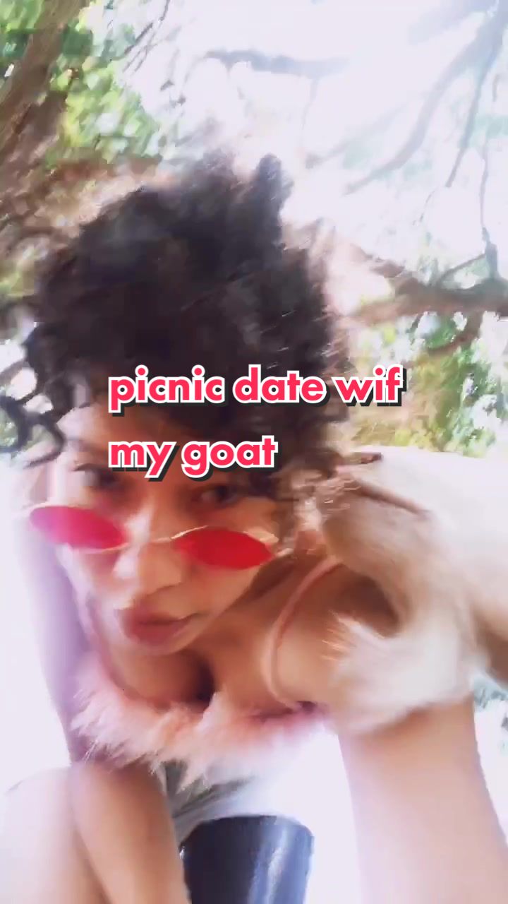 @Pyro Shiba