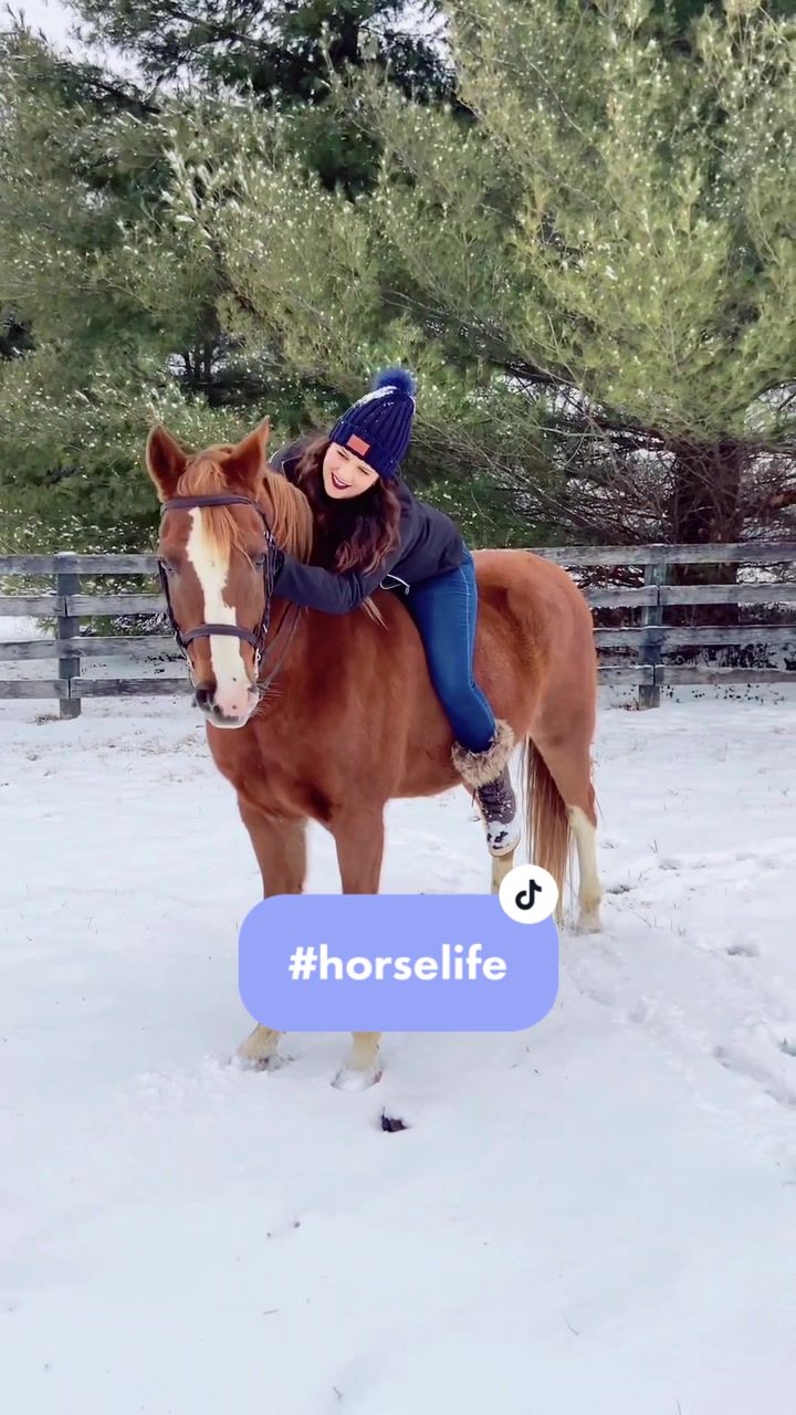 @TheChoiceEquestrian