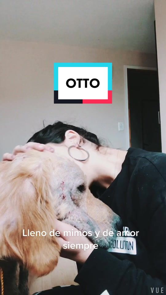 @Salvando Ando