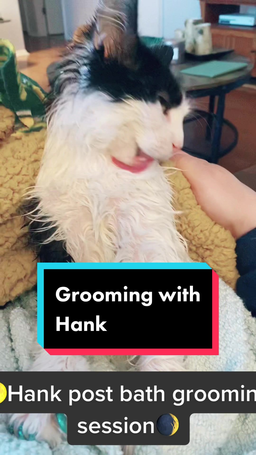 @Tilted_Hank