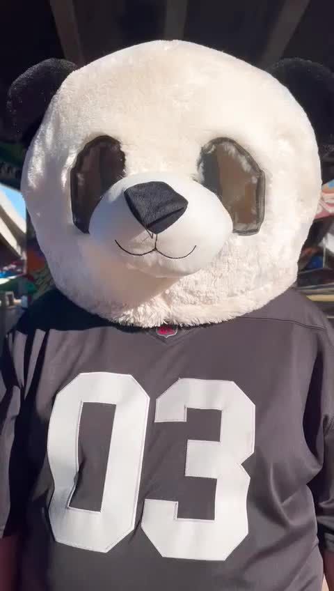 @Raider panda