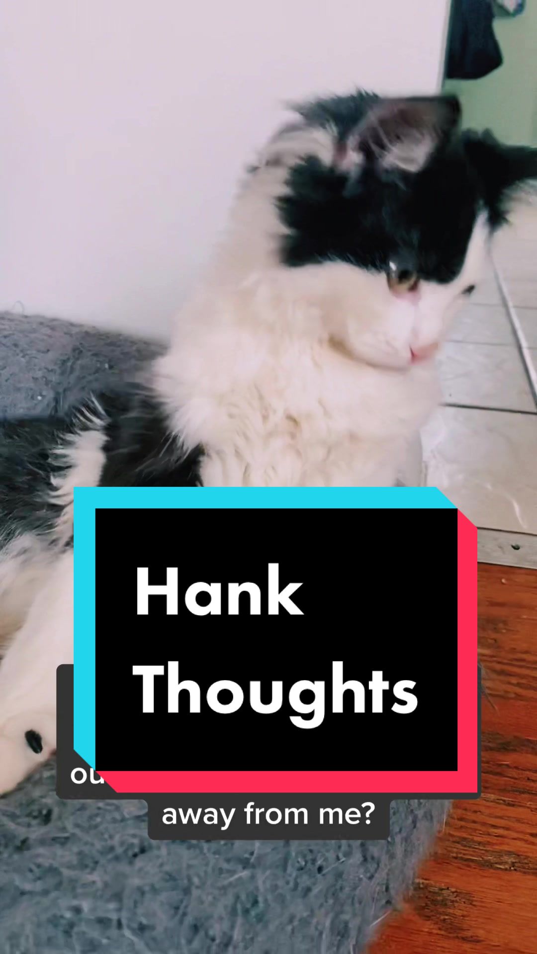 @Tilted_Hank