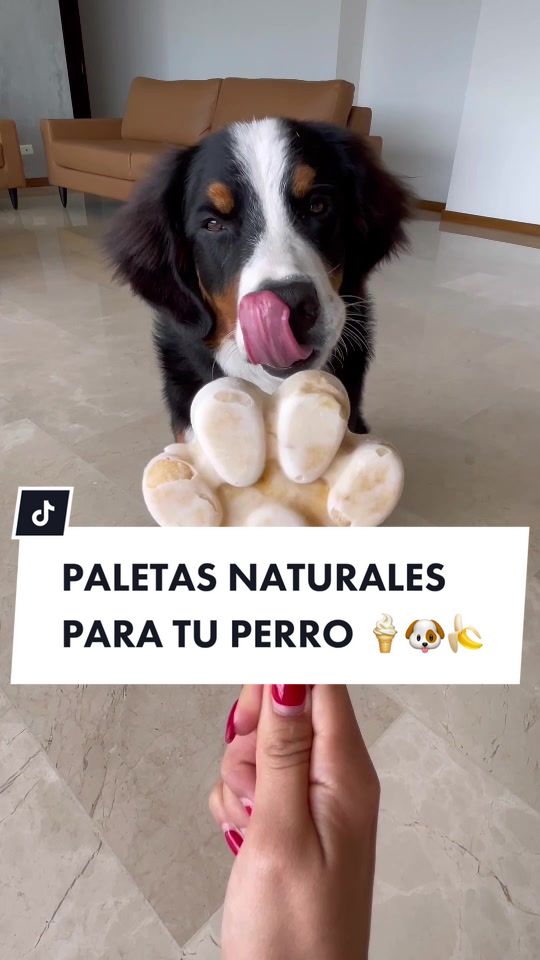 @Laura Londoño