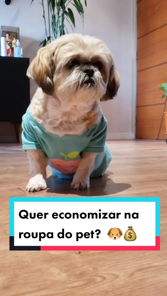 @Mel Spacemoon 🐶🐾