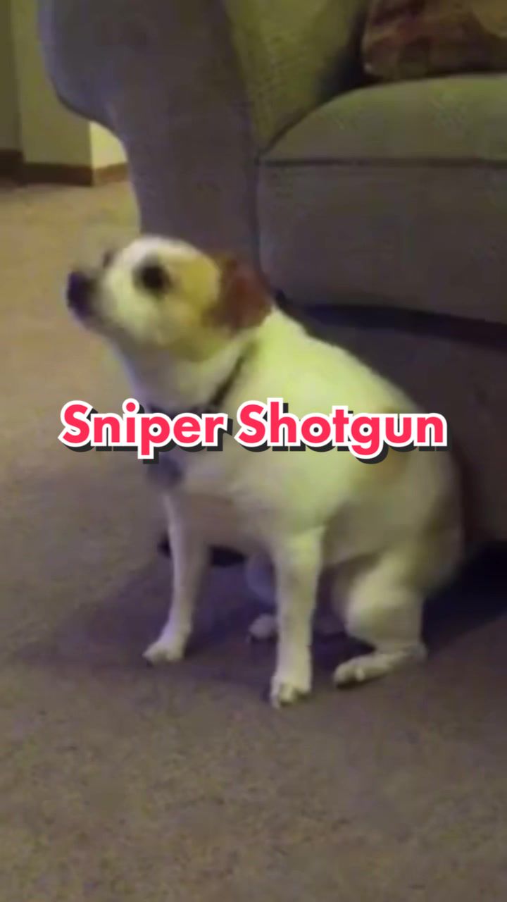 @Jibb
