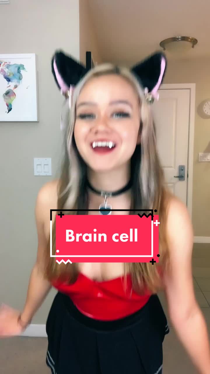 @BassKittenTV 😈
