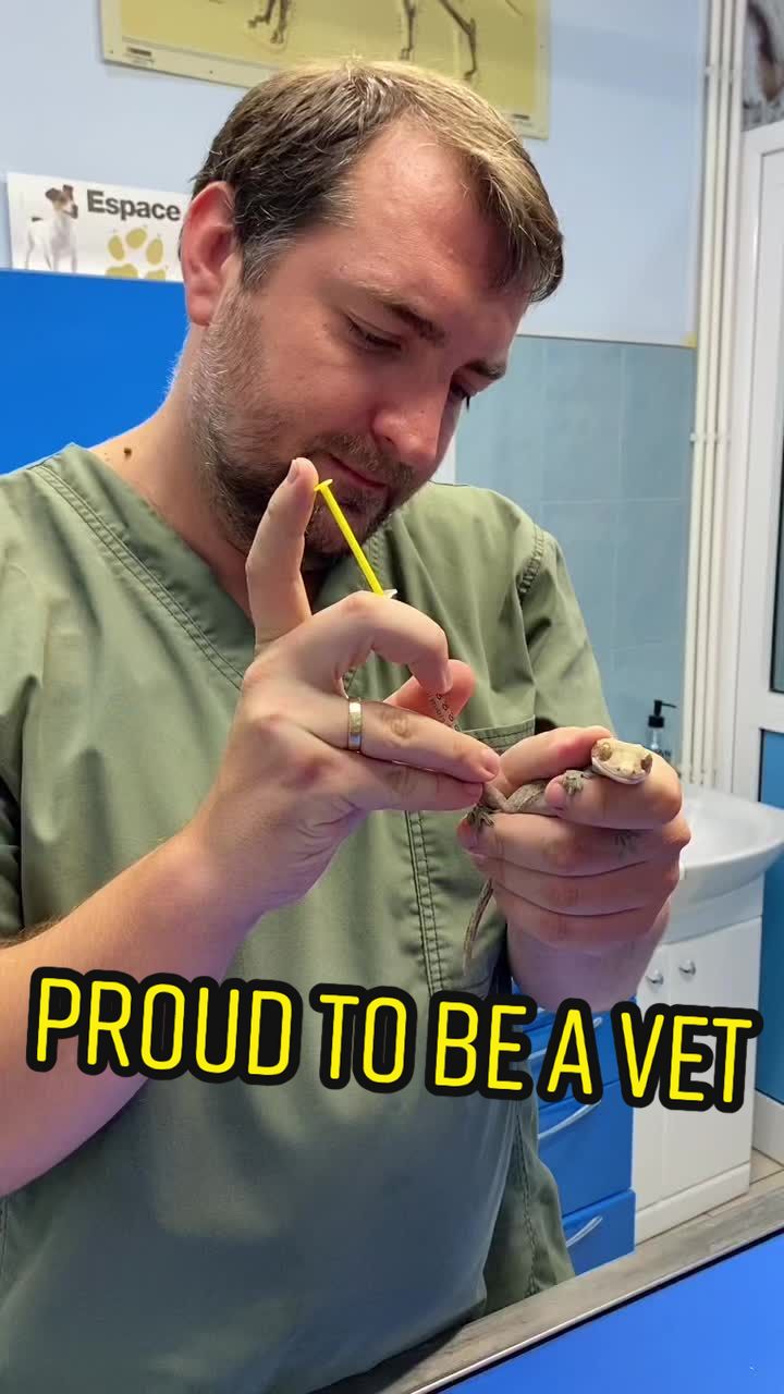 @VET CREW