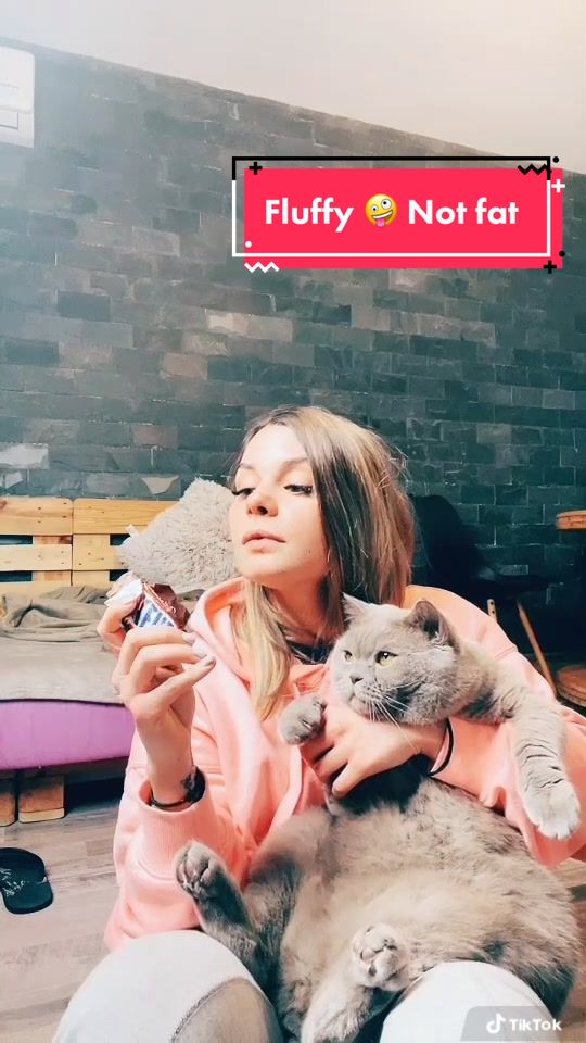 @DodoTheCat 😻