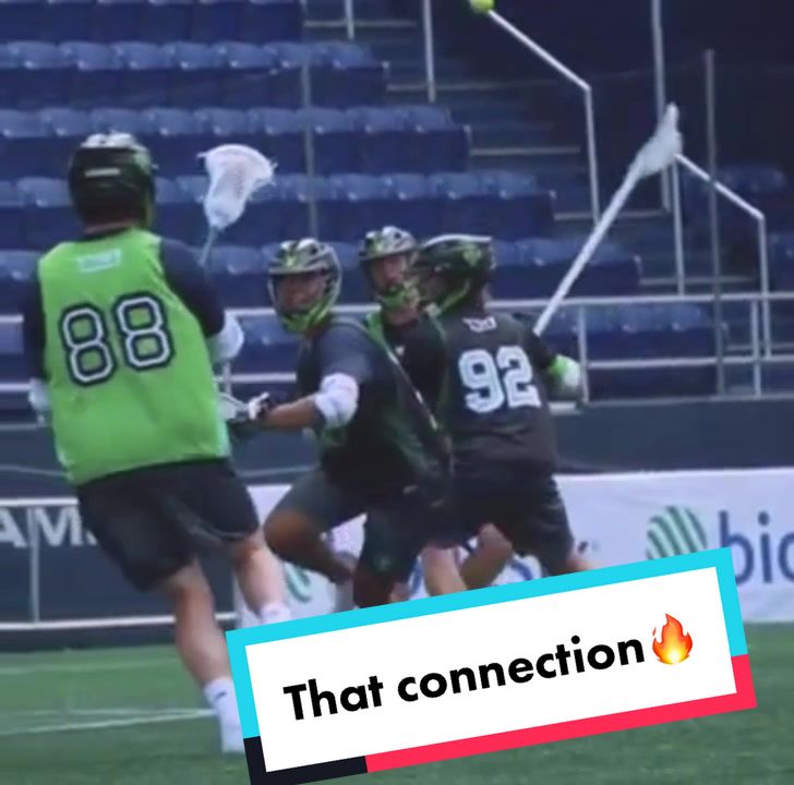 @nylizards