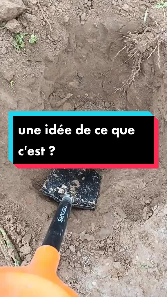 @AlexDétectNormandie